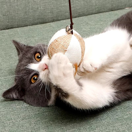FurrNix Interactive Feather Wand Cat Toy -