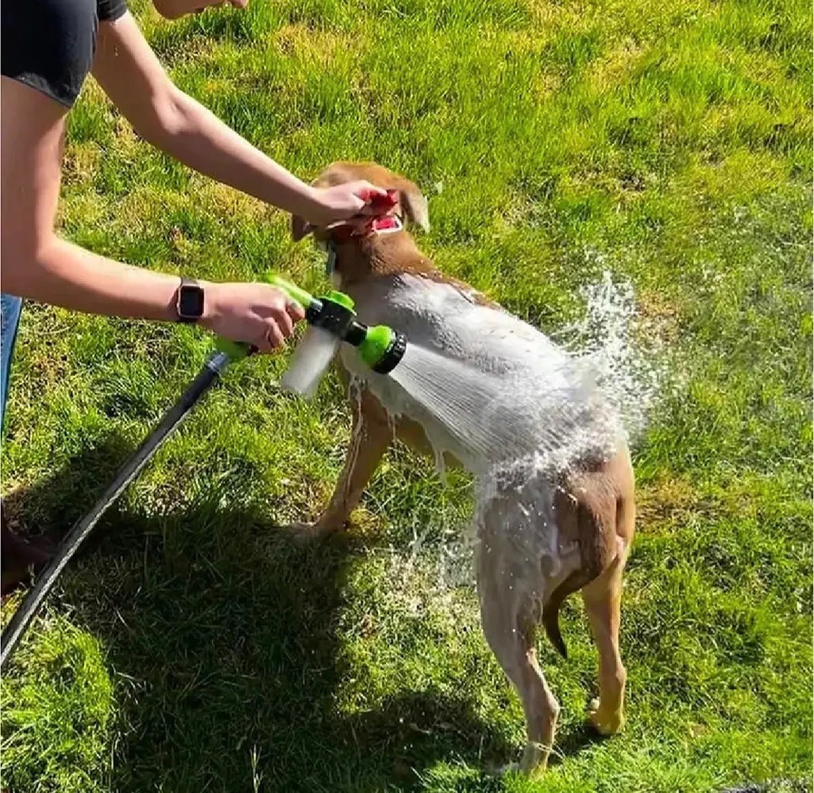 FurrNix Multi-Mode Pet Shower Sprayer -