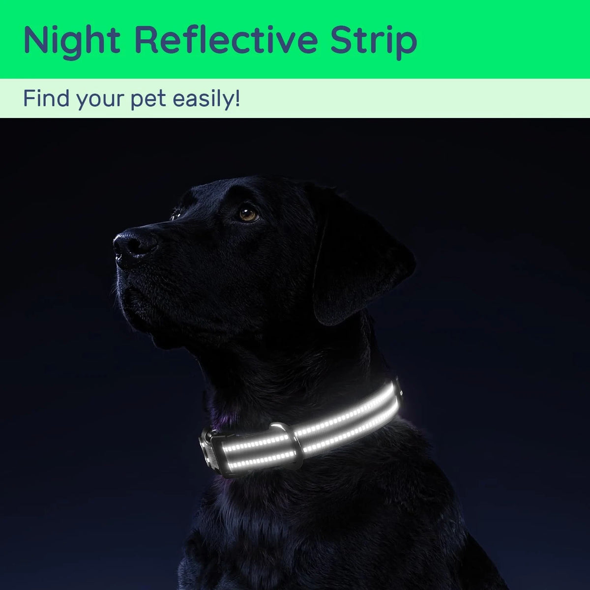 FurrNix Smart AirTag Dog Collar Set -