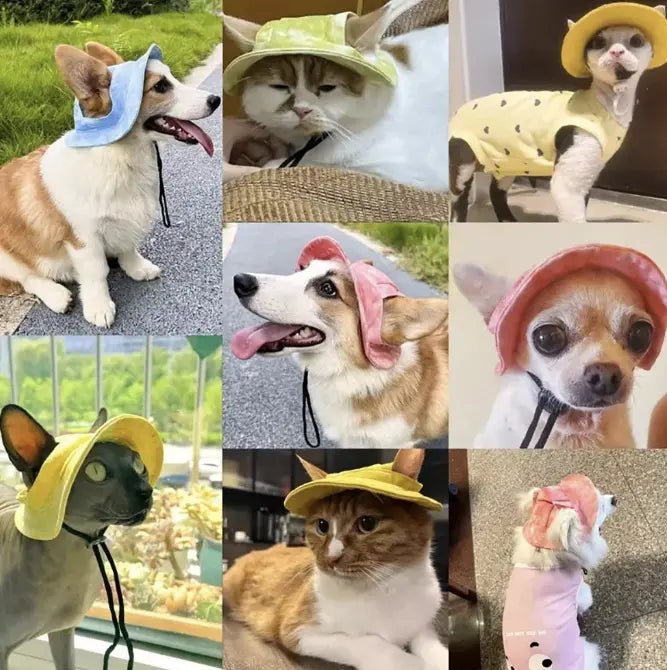 FurrNix Sun-Safe Pet Baseball Cap -